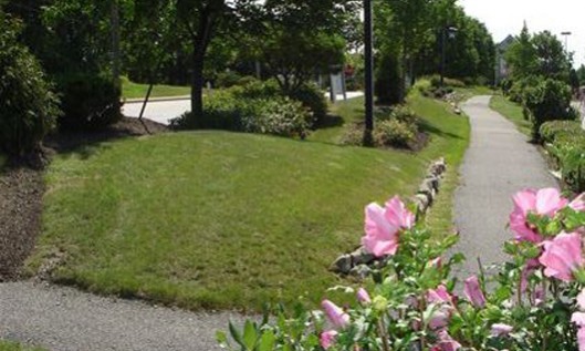 Hawthorne Trail